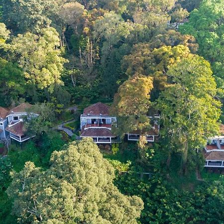 The Tall Trees Munnar Exterior photo