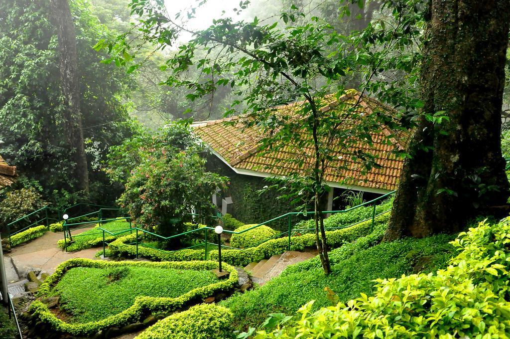 The Tall Trees Munnar Exterior photo