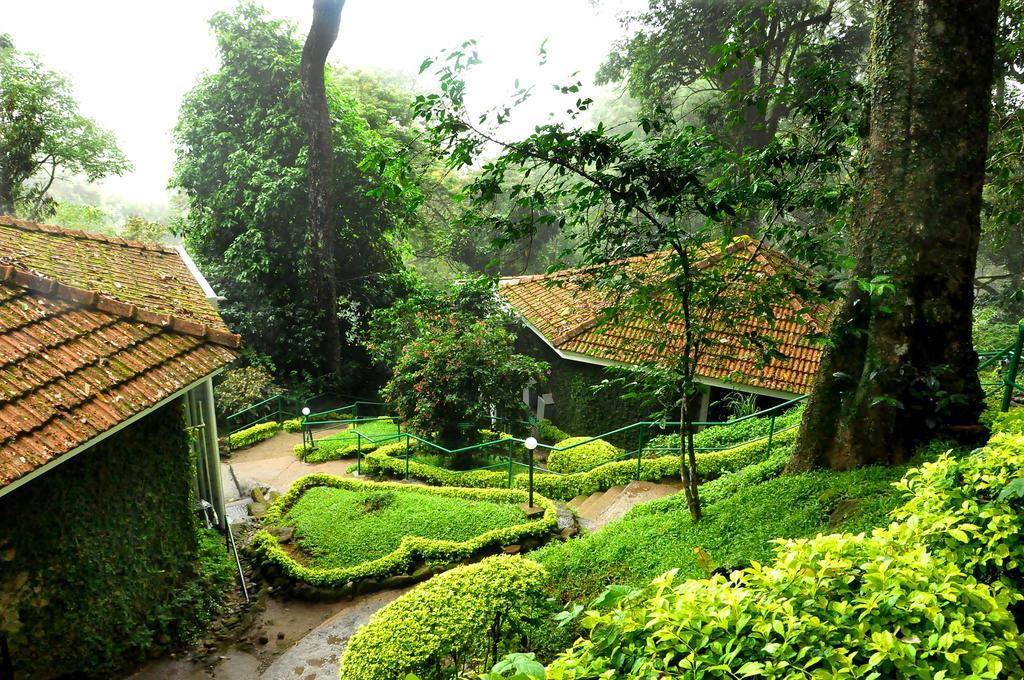 The Tall Trees Munnar Exterior photo