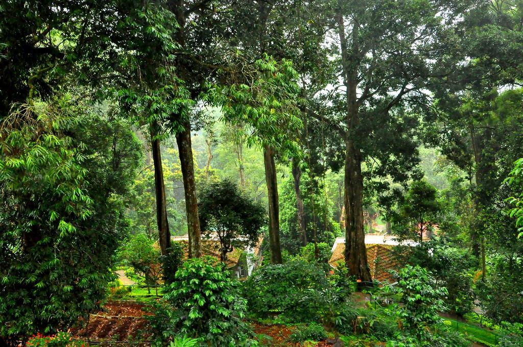 The Tall Trees Munnar Exterior photo