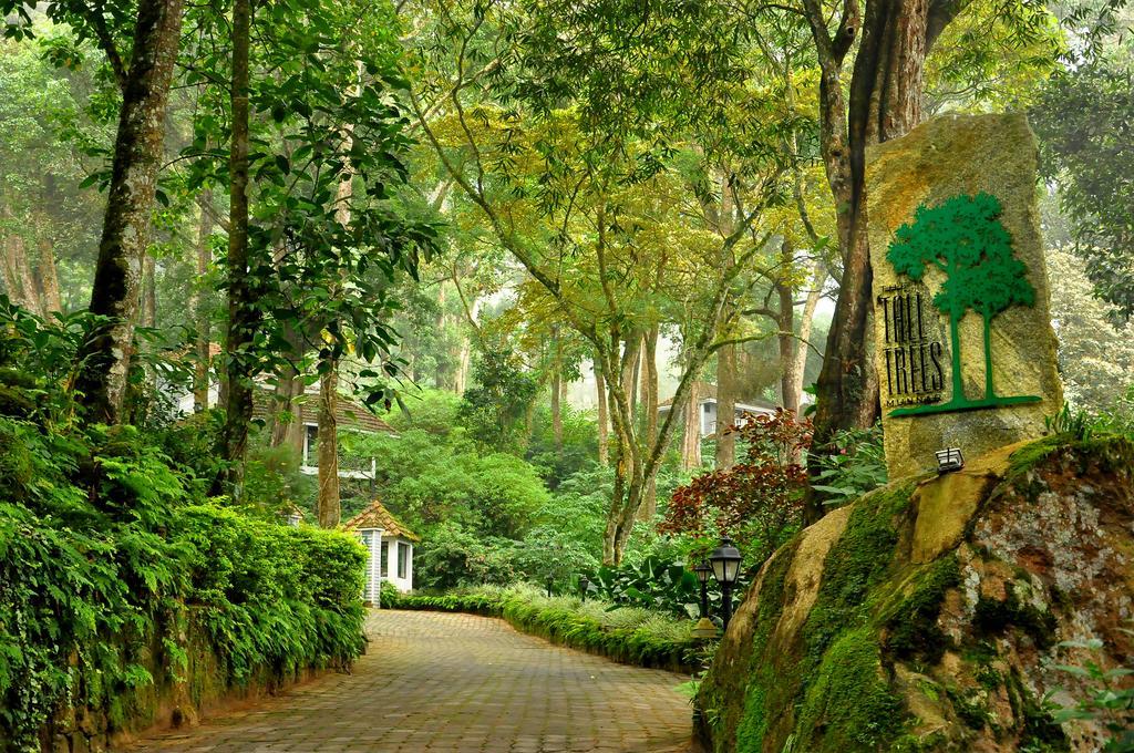 The Tall Trees Munnar Exterior photo