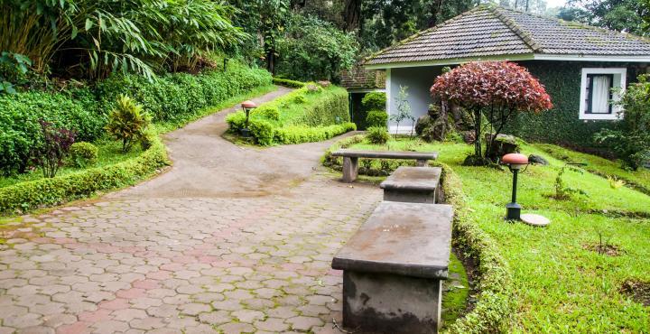 The Tall Trees Munnar Exterior photo