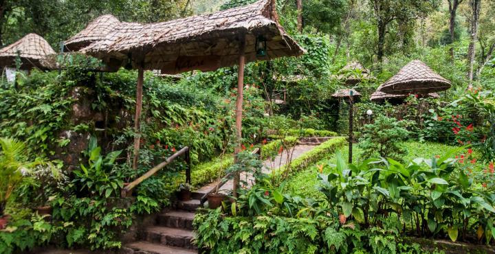 The Tall Trees Munnar Exterior photo