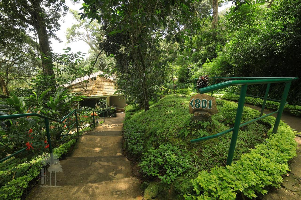 The Tall Trees Munnar Exterior photo