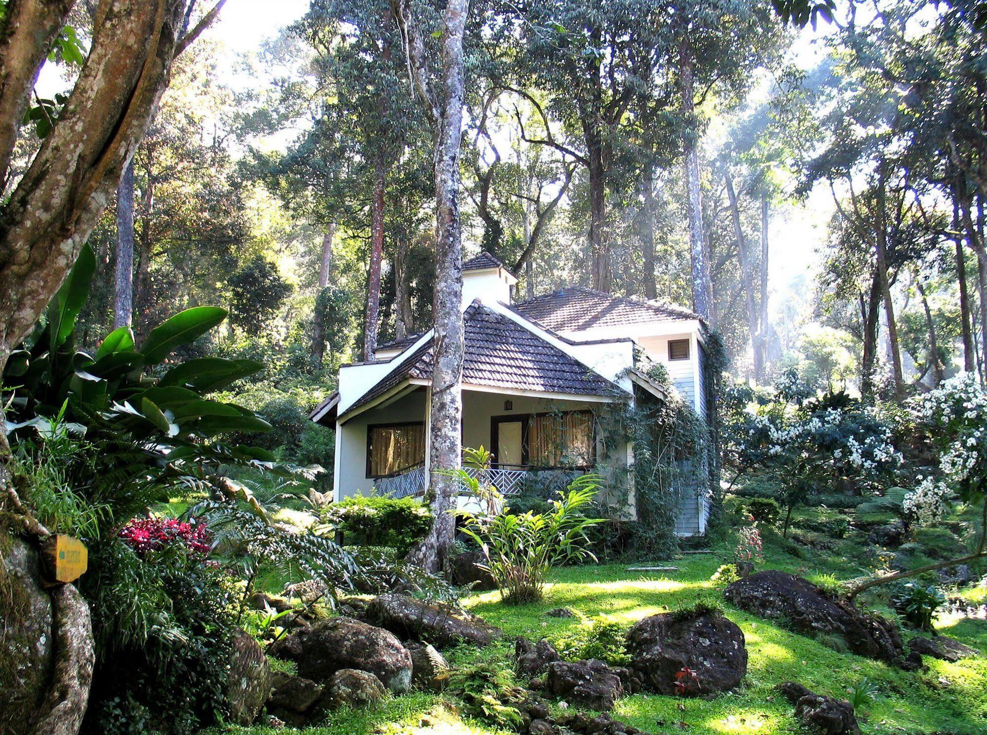 The Tall Trees Munnar Exterior photo