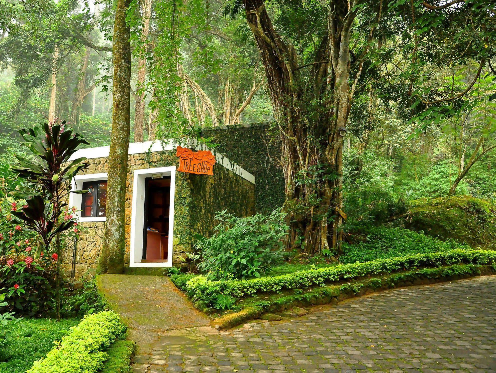 The Tall Trees Munnar Exterior photo