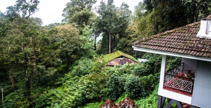 The Tall Trees Munnar Exterior photo