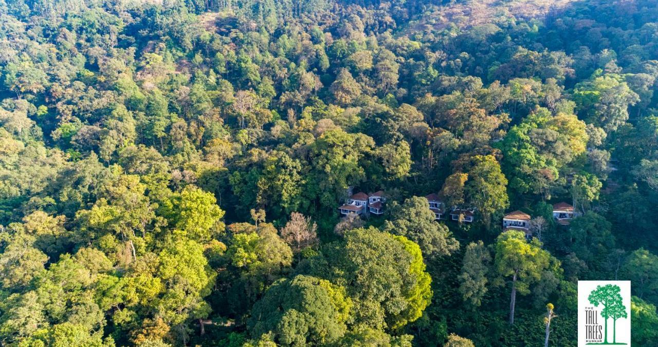 The Tall Trees Munnar Exterior photo