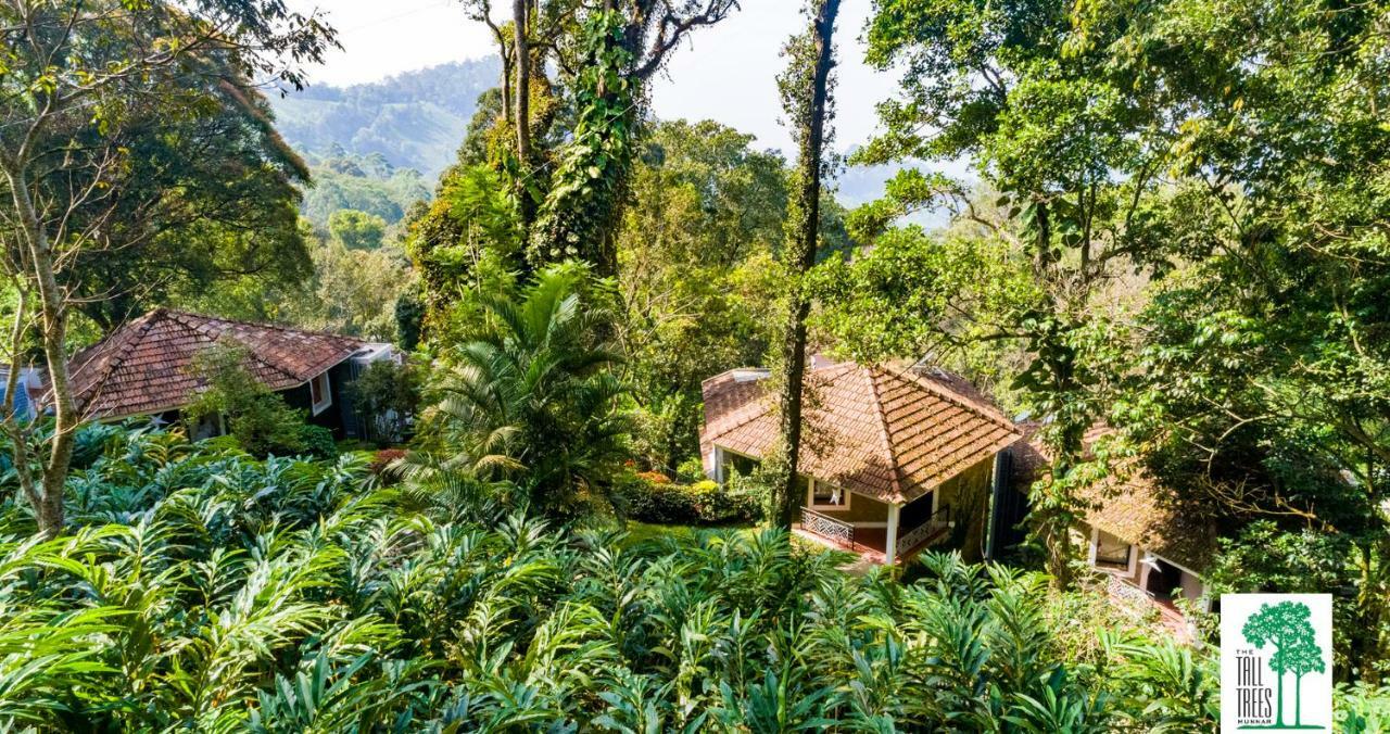 The Tall Trees Munnar Exterior photo