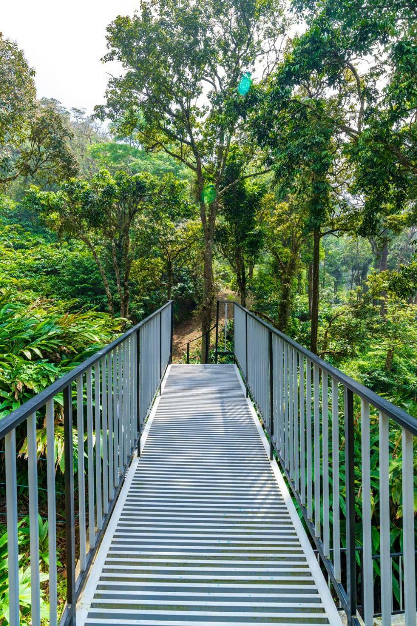 The Tall Trees Munnar Exterior photo