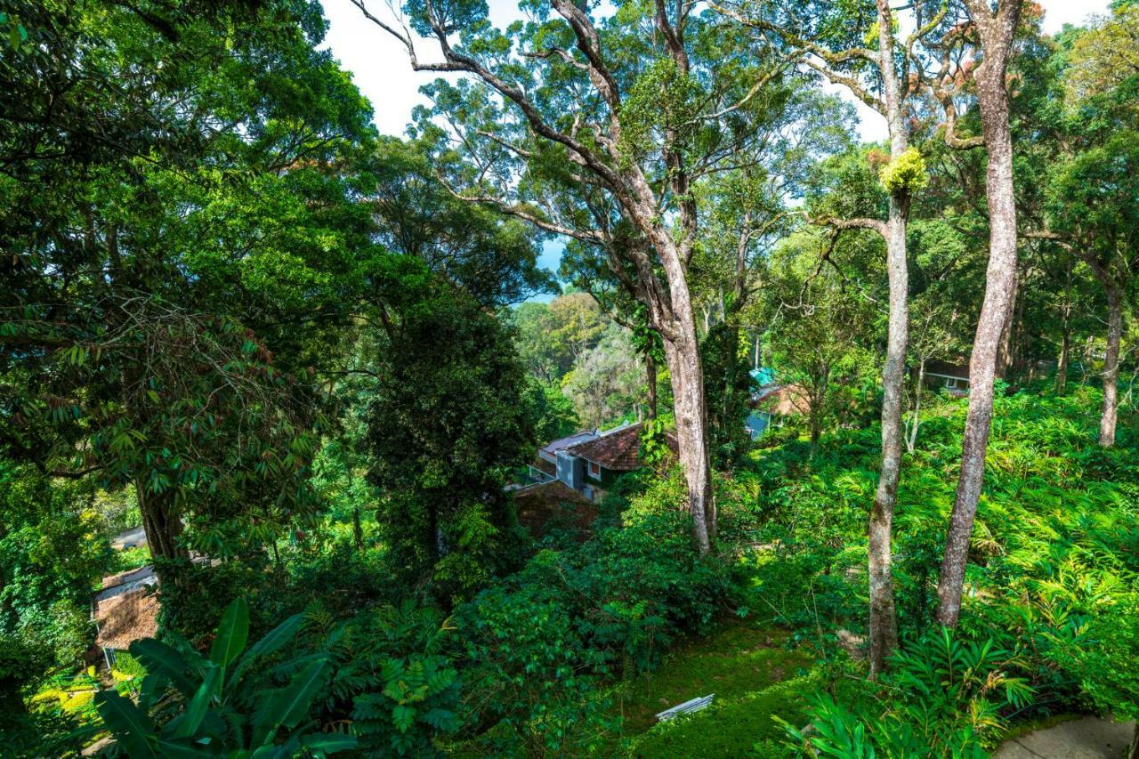 The Tall Trees Munnar Exterior photo